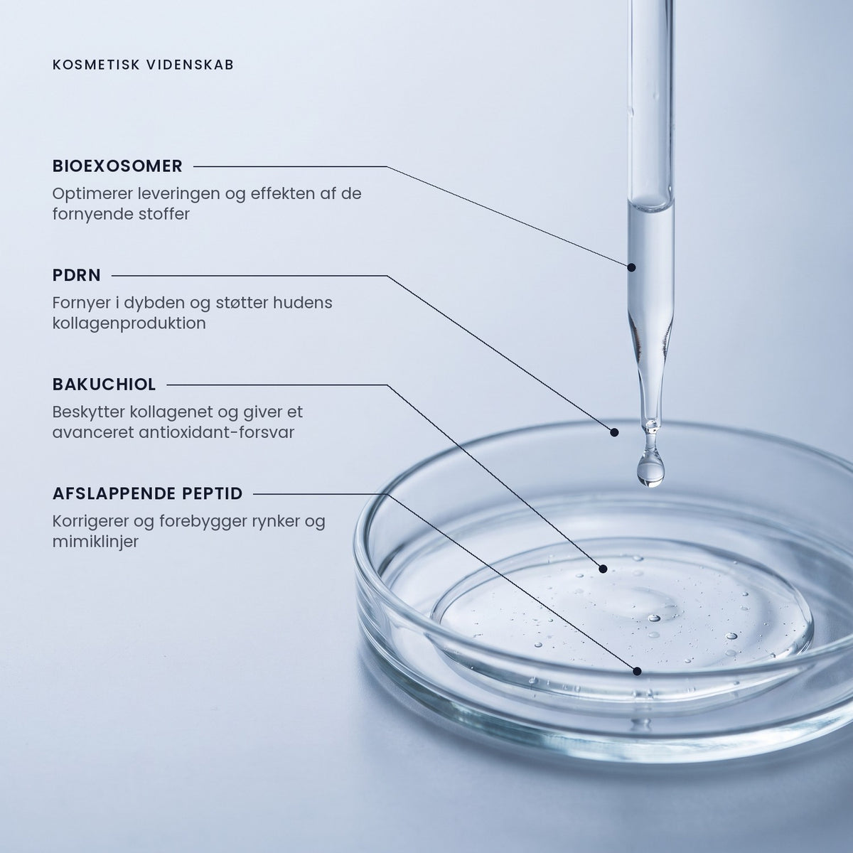 OSMI® Advanced Renewal Serum – bioexosomer & PDRN
